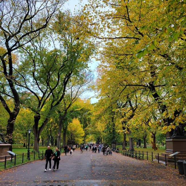 New York City: Gossip Girl Private Tour in Manhattan - Is $175 per person a fair price?