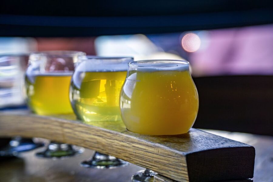 New York City: Guided Brooklyn Craft Brewery Tour - Who will enjoy this afternoon most?