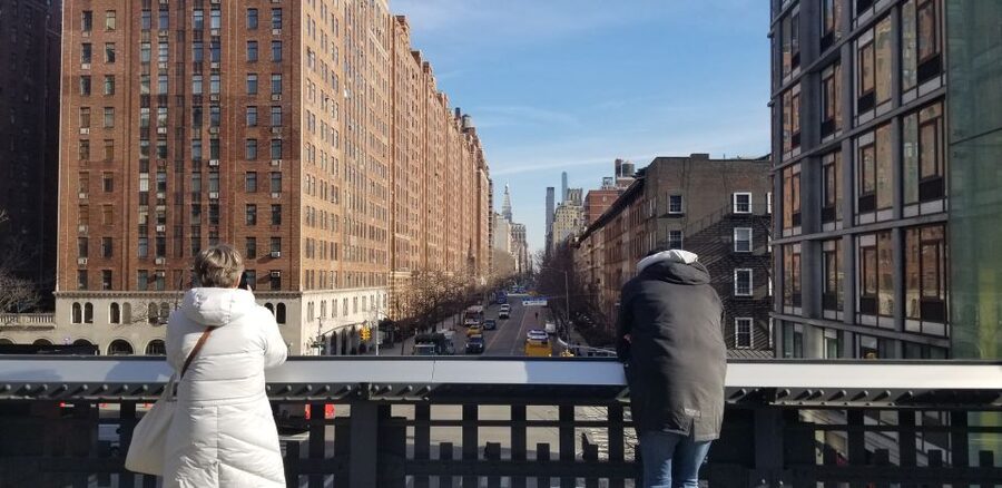 New York City: High Line & Hudson Yards Walking Tour - The gardens and Hudson River views