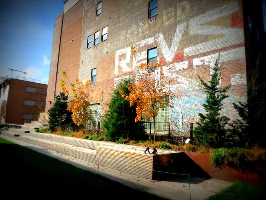 New York City: High Line Walking Tour - A botanical garden in the sky