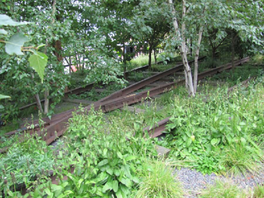 New York City: High Line Walking Tour - Hudson Yards and the changing west side