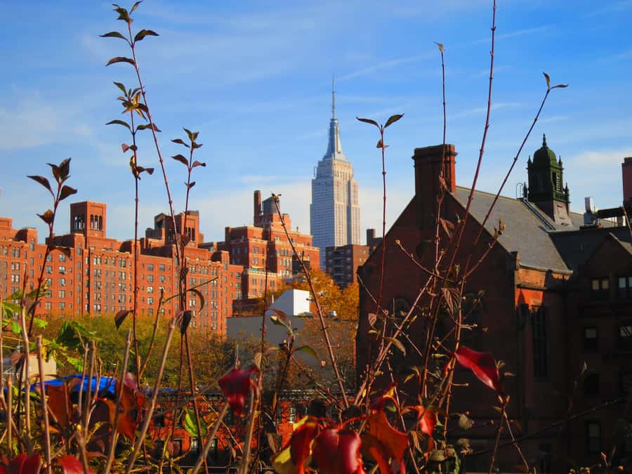 New York City: High Line Walking Tour - A possible finish near Chelsea Market