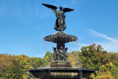 Highlights of Central Park Bike or eBike Tour