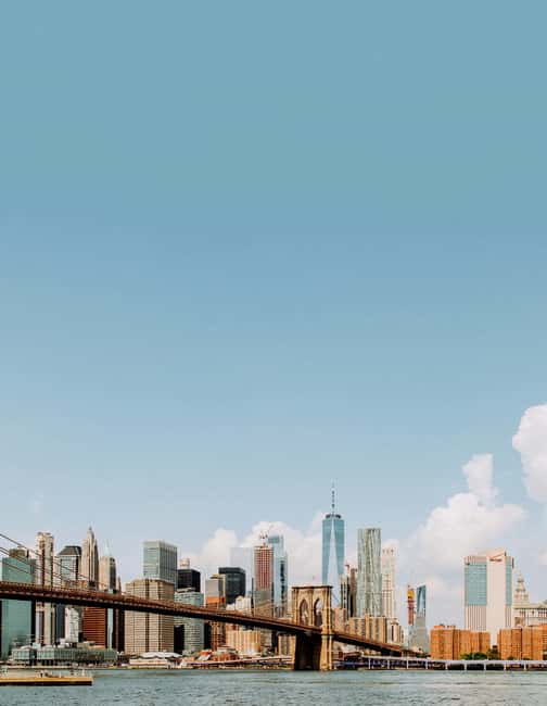 New York City: Minivan Tour - Should you book the New York City minivan tour?