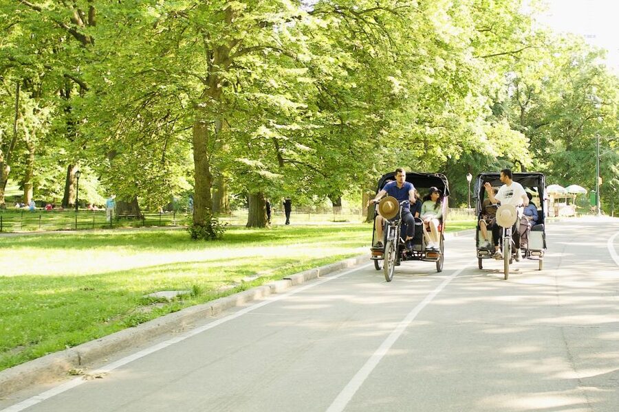 New York City: Private Central Park Pedicab Tour - What the guides add to the ride