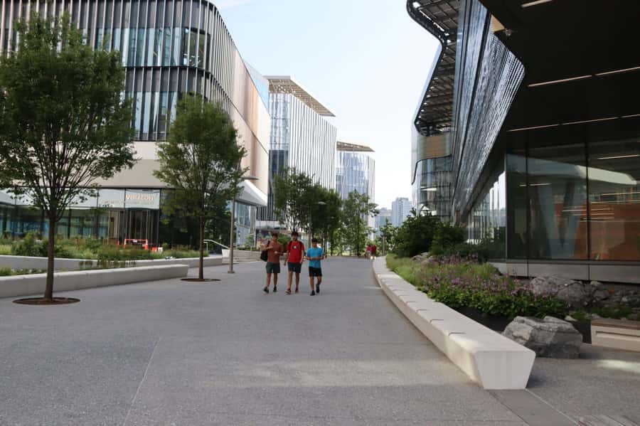New York City: Roosevelt Island Walking Tour with Tram Ride - Why Roosevelt Island feels unlike the rest of New York