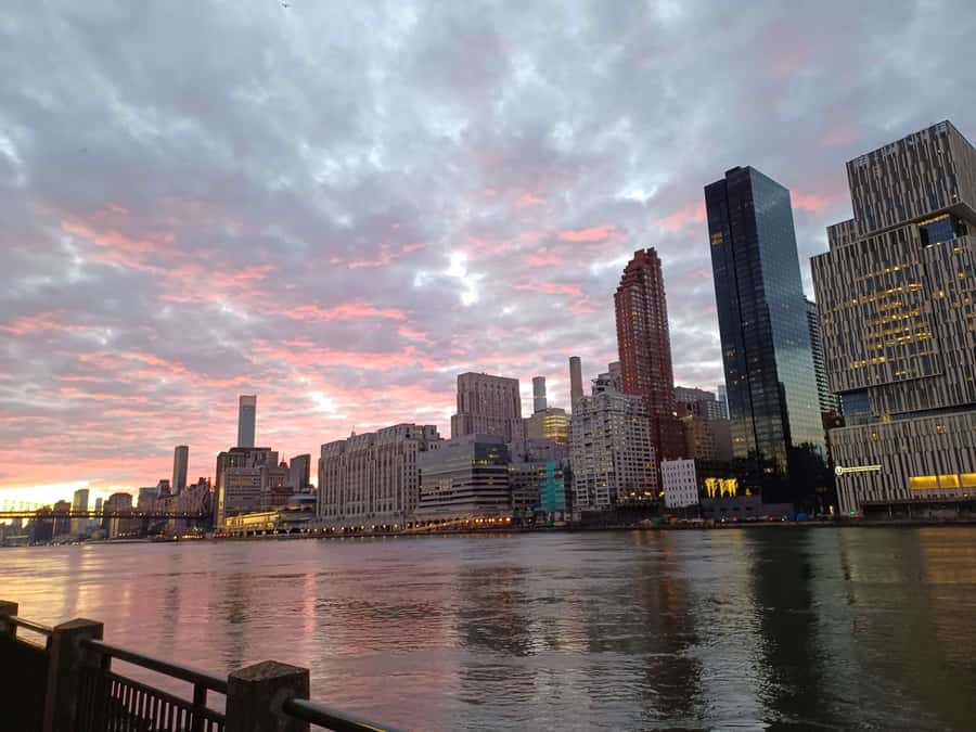 New York City: Roosevelt Island Walking Tour with Tram Ride - Walking through an island built for isolation