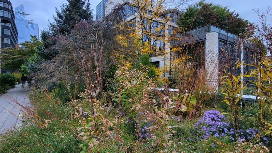 New York City: Secrets Of High Line Park Walking Tour - Why this tour works better than a simple High Line stroll