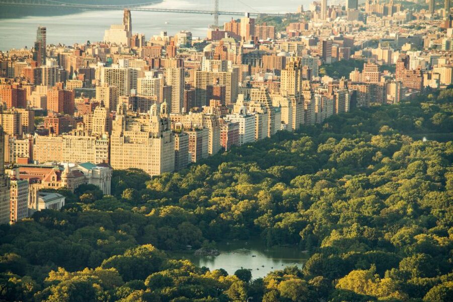 New York Edge Observation Deck & Little Island Pier 55 tour - Key points to know before booking
