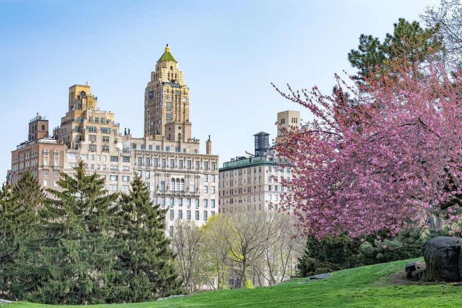 New York Edge Observation Deck & Little Island Pier 55 tour - Who will enjoy this three-hour route
