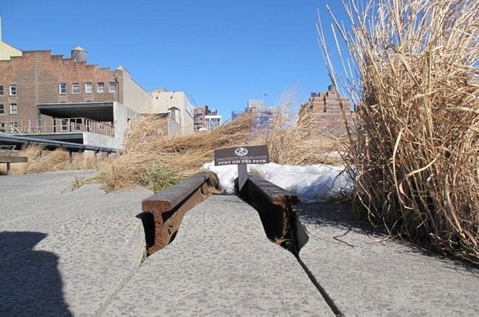 New York High Line Park Walking Tour - Why the High Line is worth seeing with a guide