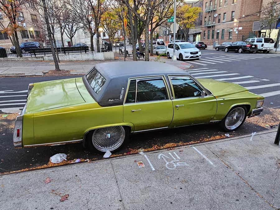 New York: Hip-Hop, Murals, Sports, and Dangerous Neighborhoods Tour - What five hours and public transport really mean