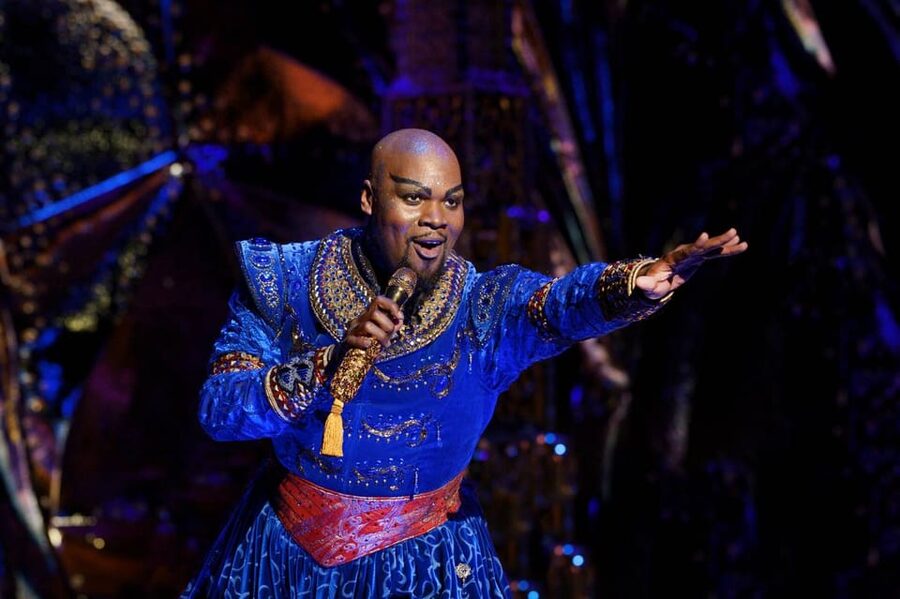 NYC: Aladdin the Musical on Broadway - Small details that can improve your night