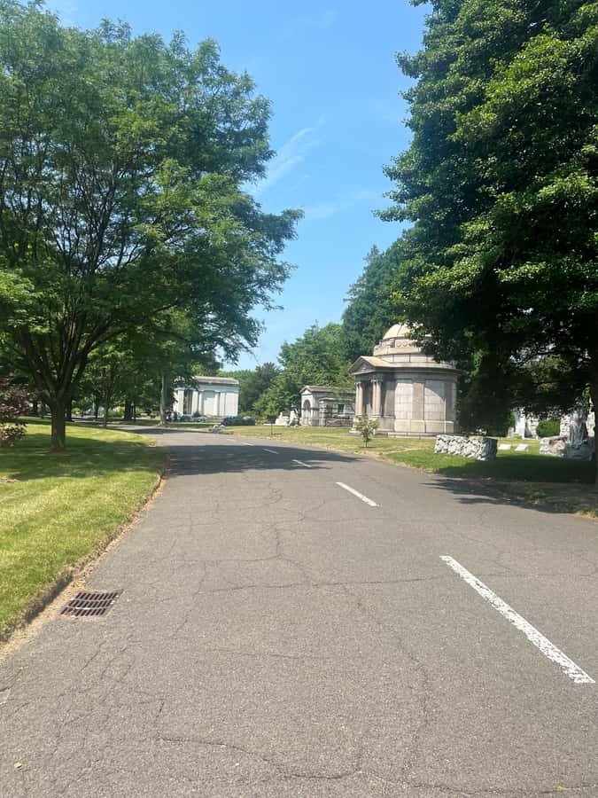 NYC: Bronx Subway and Walking Tour with Bronx Little Italy - Woodlawn Cemetery and the northern end of the line