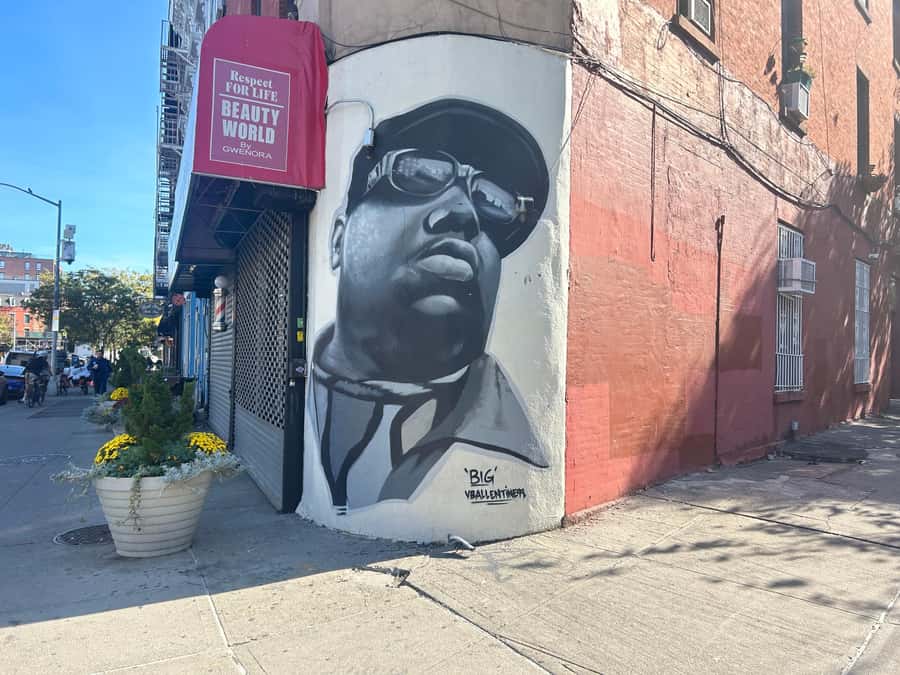 NYC, Brooklyn: Notorious Biggie Smalls Themed Walking Tour - Walking through Downtown Brooklyn and Fort Greene