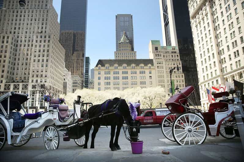 NYC: Central Park Christmas Lights Horse-Drawn Carriage Ride - A Christmas carriage ride with a Midtown view