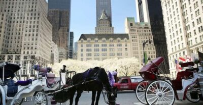 Central Park Christmas Lights Horse-Drawn Carriage Ride
