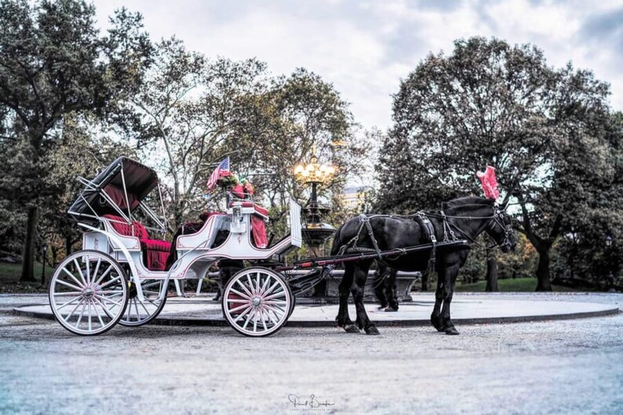 NYC: Central Park Christmas Lights Horse-Drawn Carriage Ride - Booking details that matter