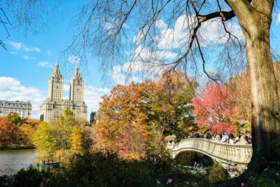 Central Park Elf & Home Alone Film Spots Pedicab Tour