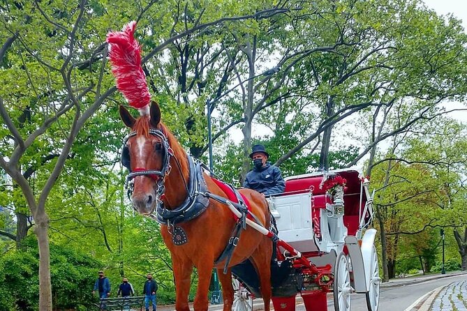 NYC Central Park Horse and Carriage Ride: Long Ride 45 min - Fifth Avenue, Columbus Circle, and the park’s southern edge