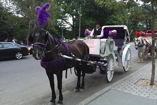 NYC Central Park Horse and Carriage Ride: Long Ride 45 min - The Carousel, Dairy, and Balto’s Statue