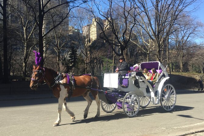 NYC Central Park Horse and Carriage Ride: Long Ride 45 min - Conservatory Water, Chess and Checkers, and the Bandshell