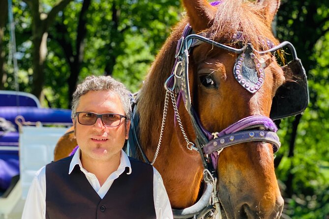 NYC Central Park Horse and Carriage Ride: Long Ride 45 min - Bethesda Terrace and Fountain