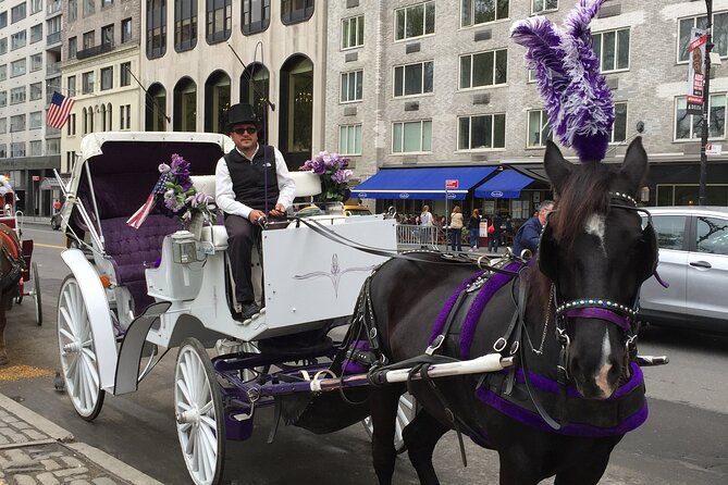 NYC Central Park Horse and Carriage Ride: Long Ride 45 min - The Lake and the included photo stop