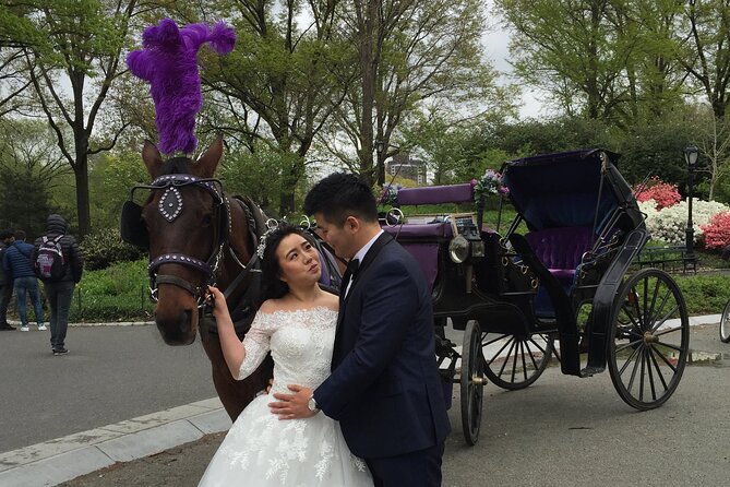 NYC Central Park Horse and Carriage Ride: Long Ride 45 min - Cherry Hill, Strawberry Fields, and the Dakota