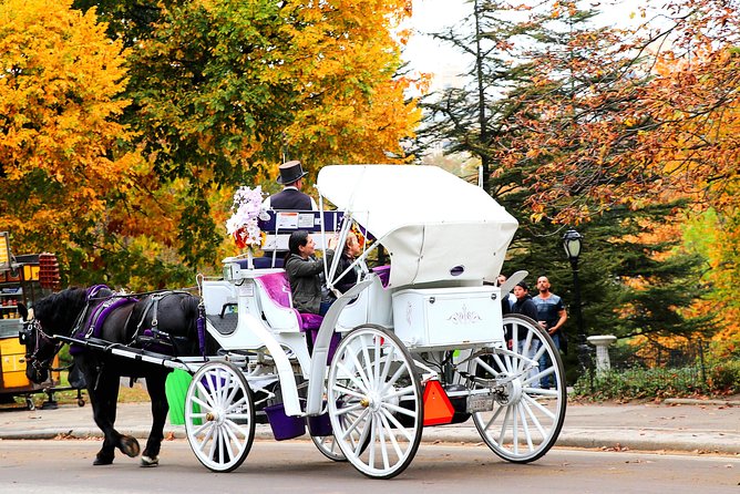 NYC Central Park Horse Carriage Ride (Up to 4 Adults) - Women’s Rights Pioneers Monument and Bethesda Fountain