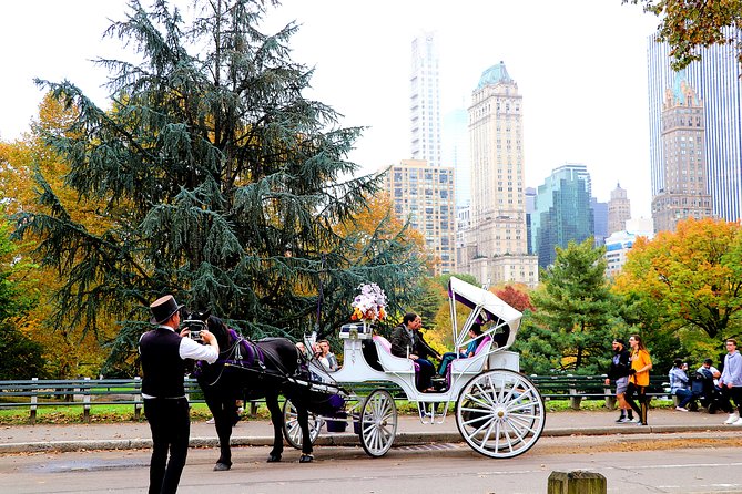 NYC Central Park Horse Carriage Ride (Up to 4 Adults) - The Lake, Boathouse, and Bow Bridge
