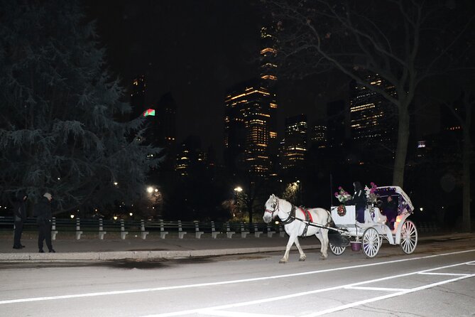 NYC Central Park Horse Carriage Ride (Up to 4 Adults) - Comfort, weather, and timing