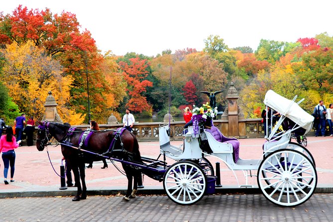 NYC Central Park Horse Carriage Ride (Up to 4 Adults) - The southern edge, Martí, and Wollman Rink