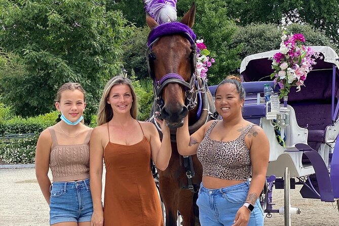 NYC Central Park Horse Carriage Rides (Winter sale) - Key details before you book