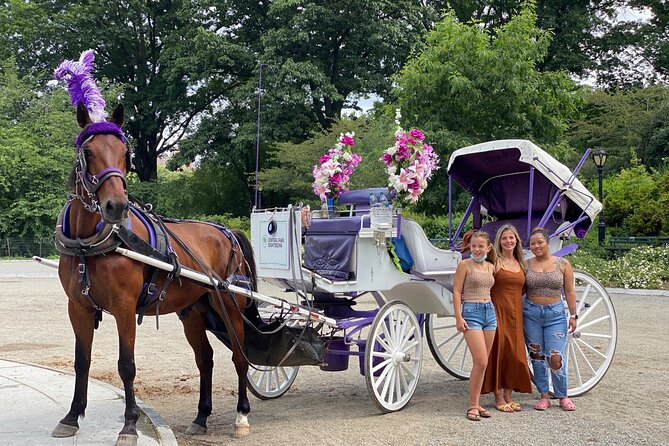 NYC Central Park Horse Carriage Rides (Winter sale) - Starting beside Central Park’s southern edge
