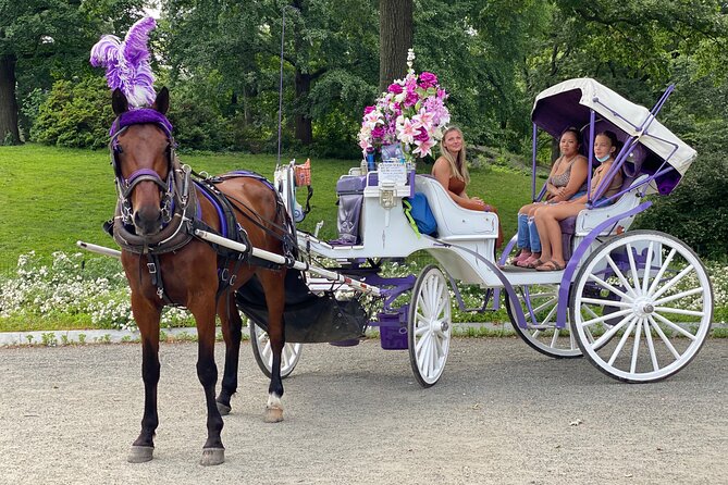 NYC Central Park Horse Carriage Rides (Winter sale) - Bethesda Fountain and the Lake
