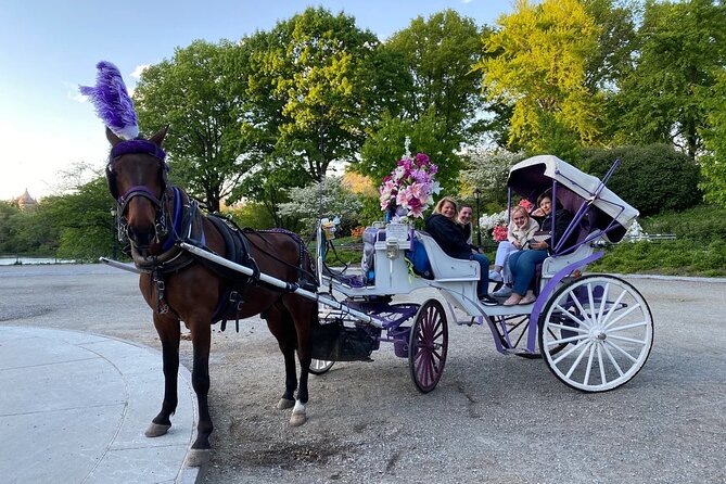 NYC Central Park Horse Carriage Rides (Winter sale) - Cherry Hill and the Bow Bridge