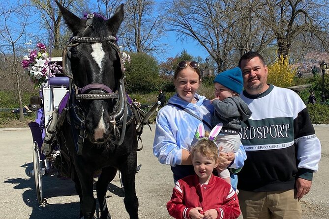 NYC Central Park Horse Carriage Rides (Winter sale) - Movie locations, Sheep Meadow, and Columbus Circle