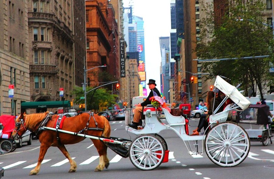 NYC: Central Park Horse-Drawn Carriage Ride (up to 4 Adults) - Who will enjoy this Central Park ride most?