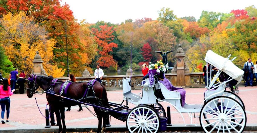 NYC: Central Park Horse-Drawn Carriage Ride (up to 4 Adults) - Starting beside the José Julián Martí Statue
