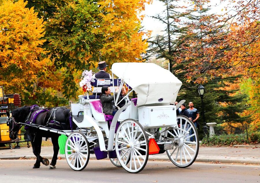 NYC: Central Park Horse-Drawn Carriage Ride (up to 4 Adults) - Bethesda Fountain and the park’s best photo moment