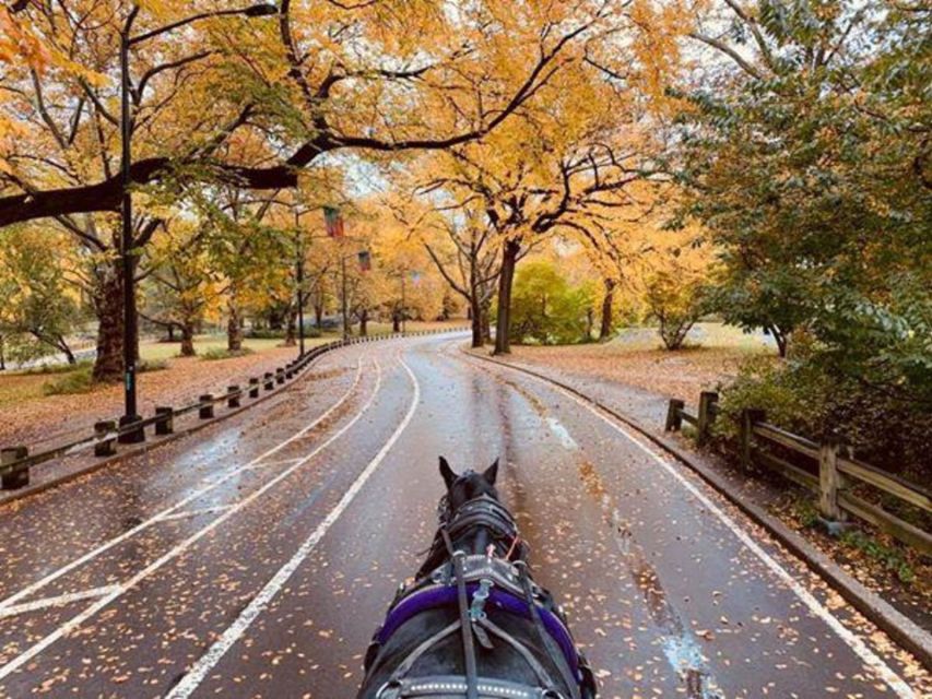 NYC: Central Park Horse-Drawn Carriage Ride (up to 4 Adults) - Cherry Hill, Bow Bridge, and the slower side of Central Park