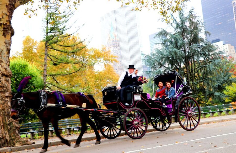 NYC: Central Park Horse-Drawn Carriage Ride (up to 4 Adults) - What the guide adds to the ride