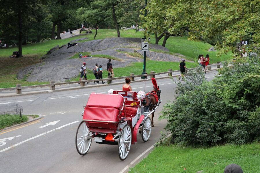 NYC: Central Park Horse-Drawn Carriage Ride (up to 4 Adults) - Is $255 good value for four people?