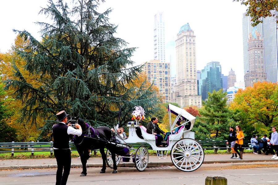 NYC: Central Park Horse-Drawn Carriage Ride (up to 4 Adults) - The first views: Balto, the Boathouse, and Central Park