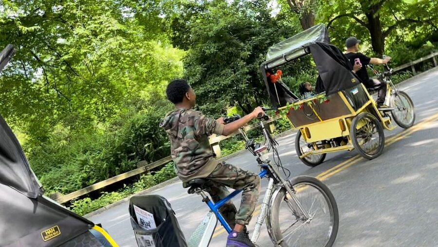 NYC: Central Park Pedicab Highlights Tour - Is $62 a fair price?