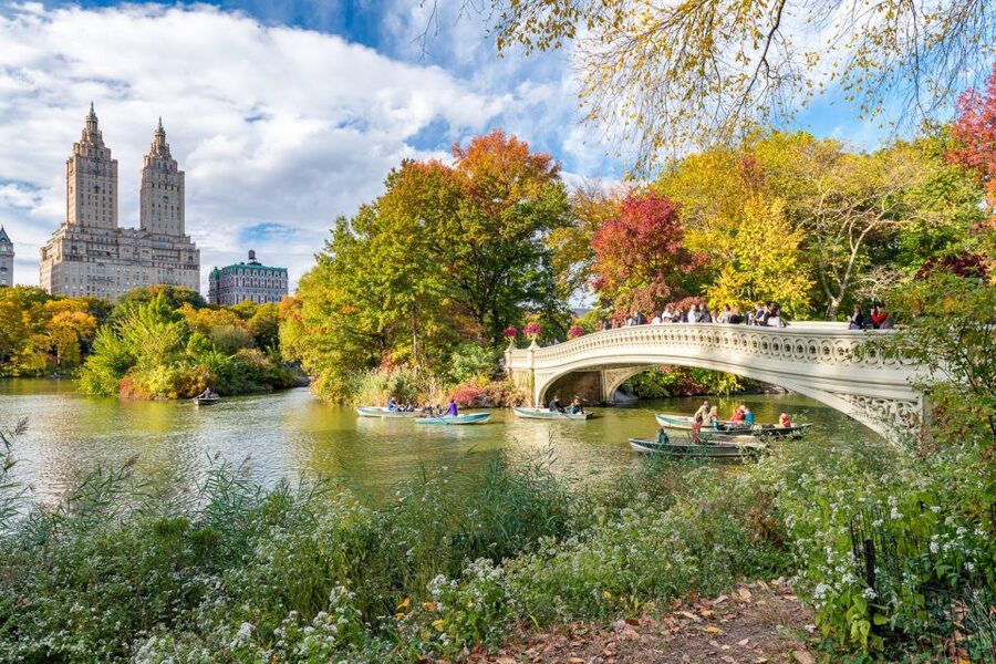 NYC: Central Park Pedicab Highlights Tour - Strawberry Fields and the Dakota