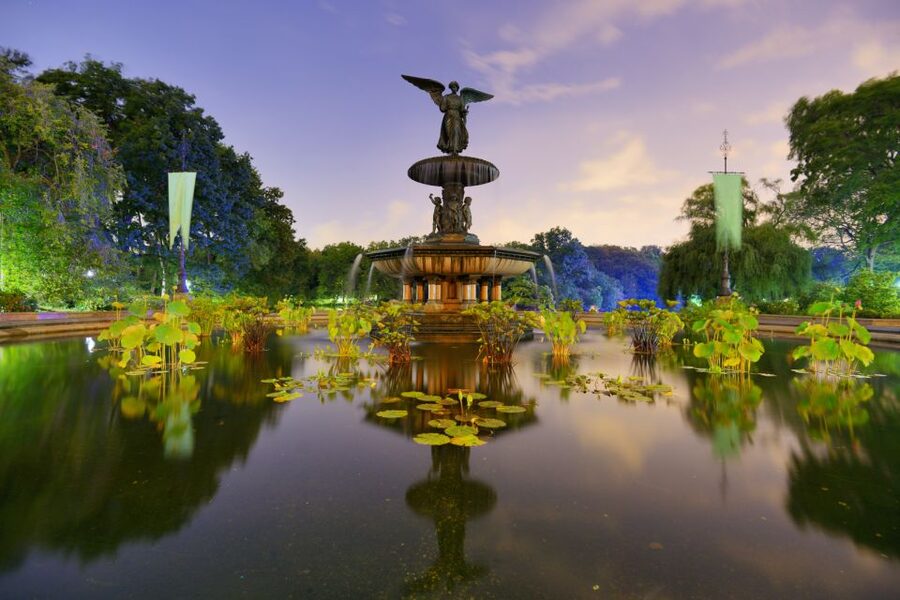 NYC: Central Park Pedicab Highlights Tour - What the guides add to the ride