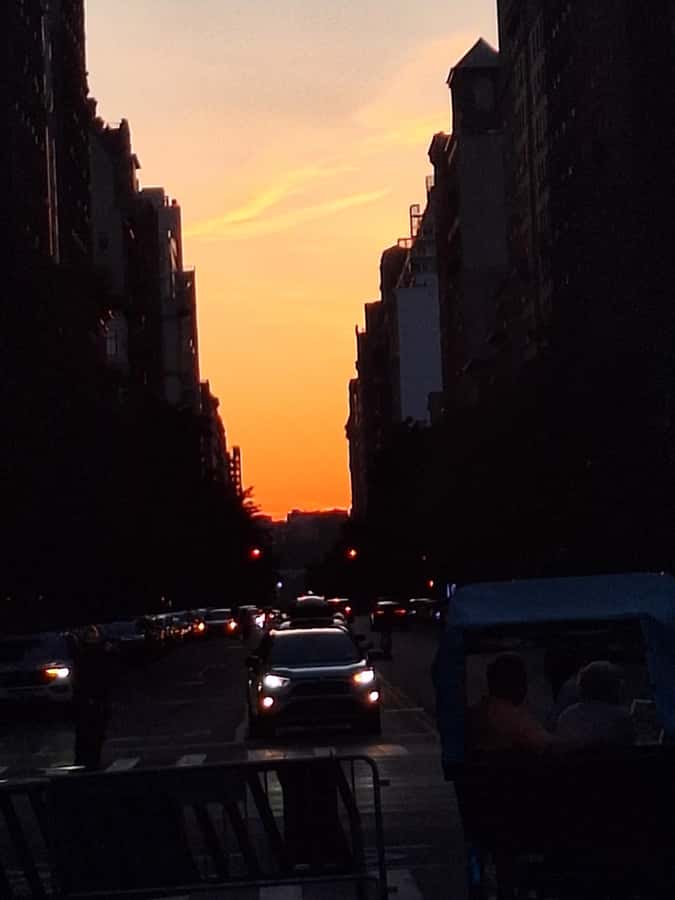 NYC: Central Park Pedicab Tour - Price and value at $35 per person