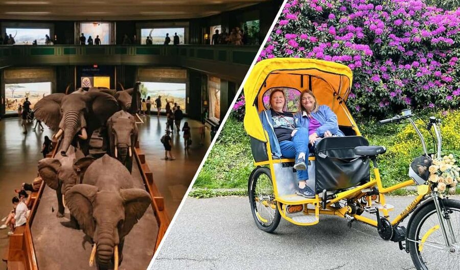 NYC: Central Park Pedicab Tour and Natural History Access - Key points at a glance